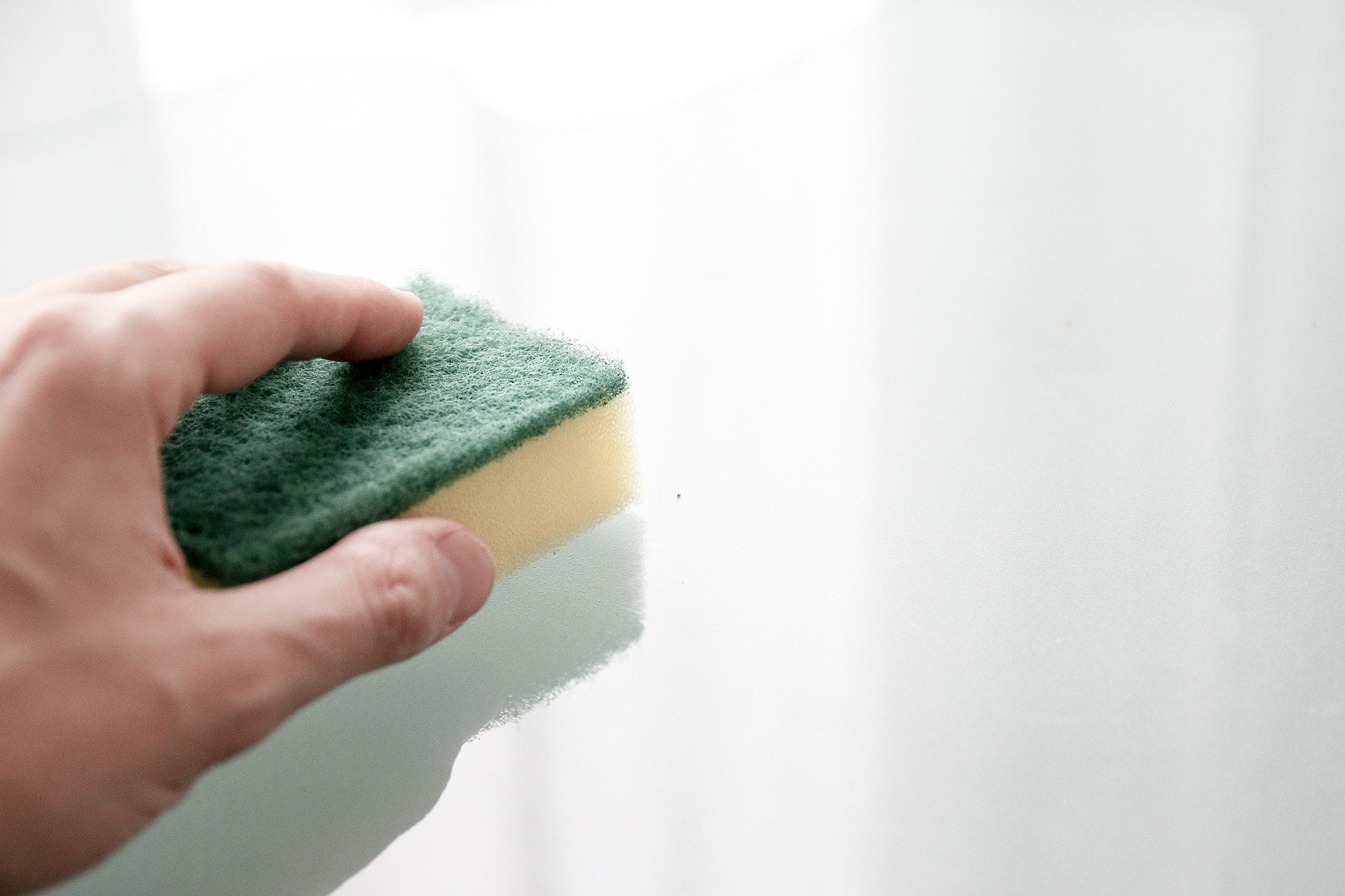 How To Remove Mold In Your House