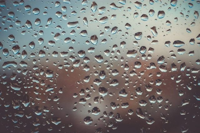 Mold and Mildew