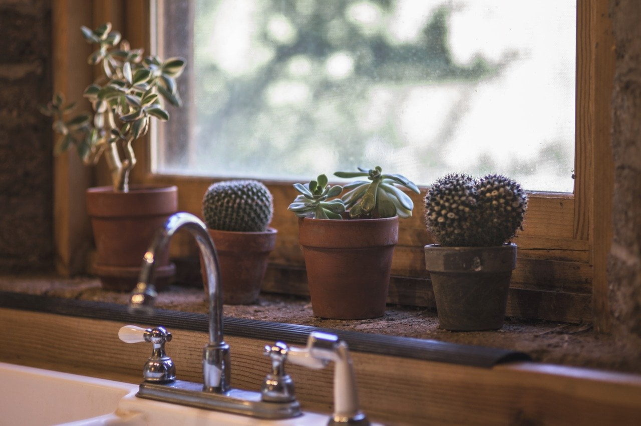 How To Clean Toilet Windows, Ledges and Blinds