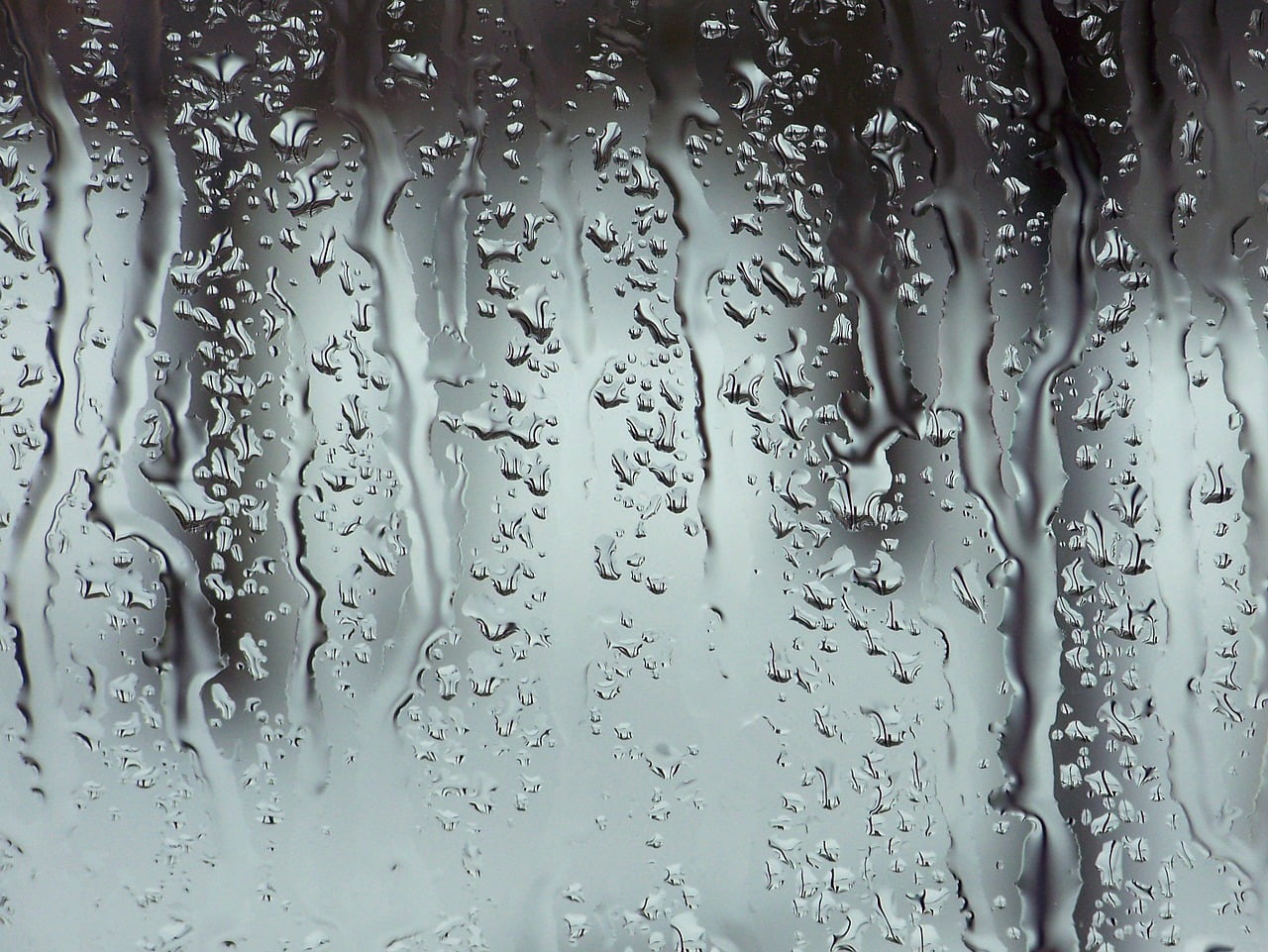 How To Clean Shower Glass In 4 Steps