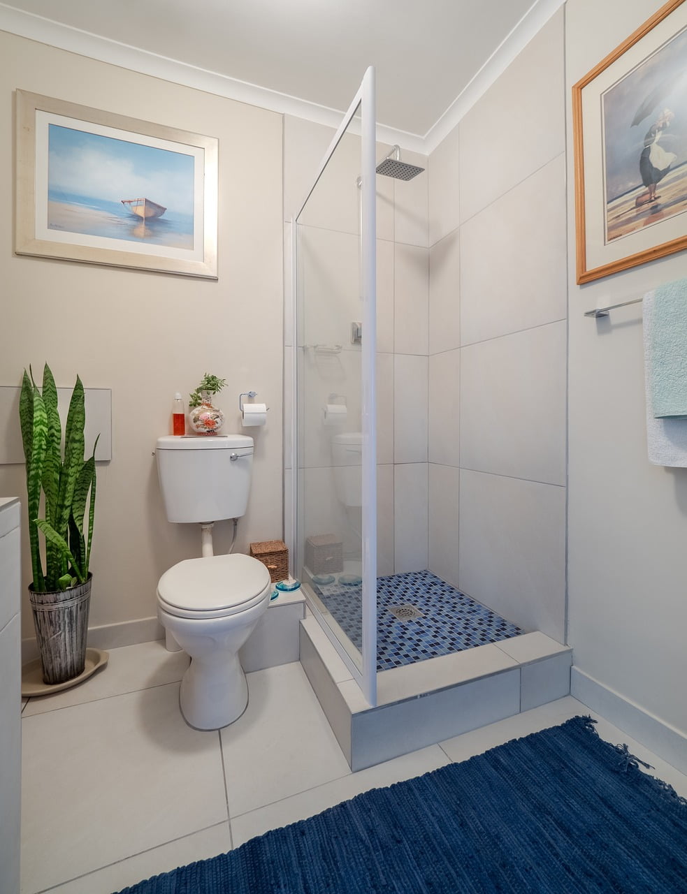 Always Dry Your Toilet Floor First