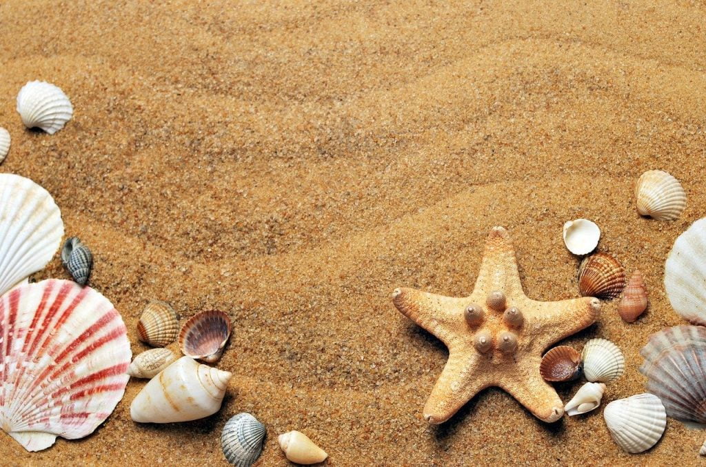 Find Jobs At East Coast With MEIDE!