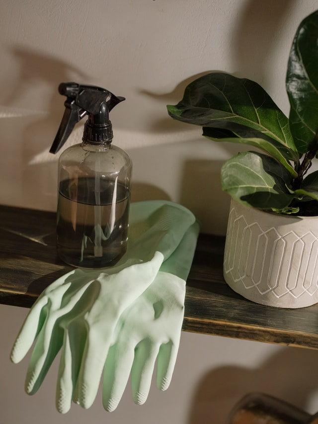 West Coast Has Many Condos Requiring Cleaning - Sign Up NOW at MEIDE