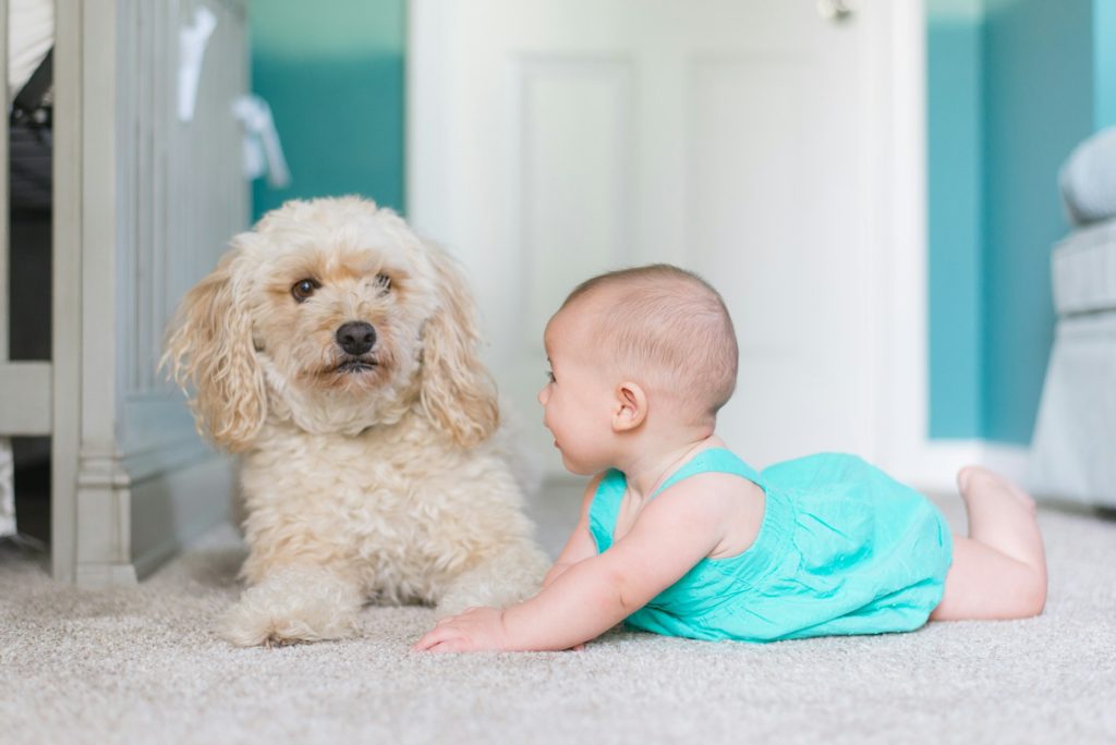 Clients can request for special delicate cleaning by our premium top cleaners especially with babies around too