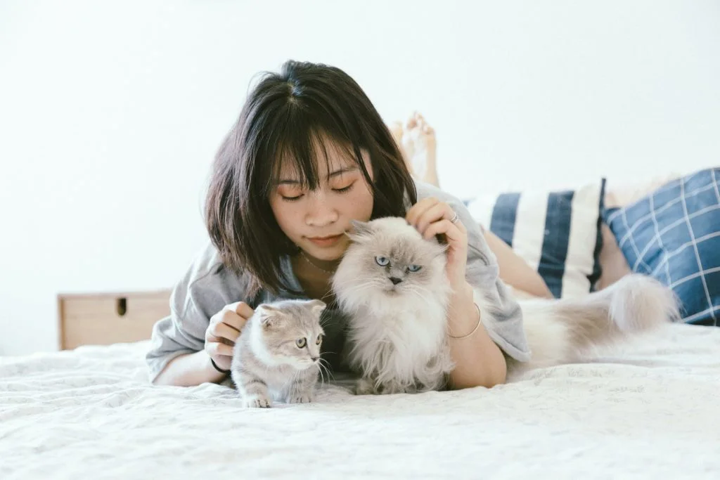 MEIDE can offer you pet-sitting help on top of household chores