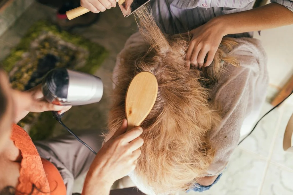 Pet grooming is slightly different from pet-sitting