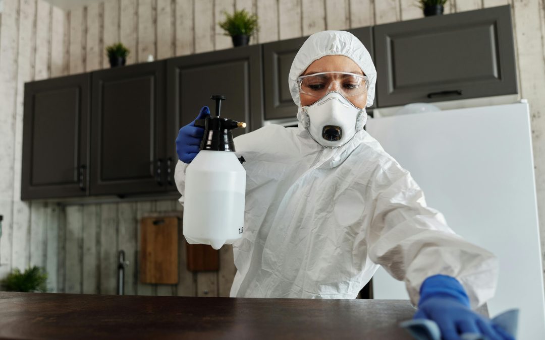 Disinfection Services You Can Add To Cleaning Services