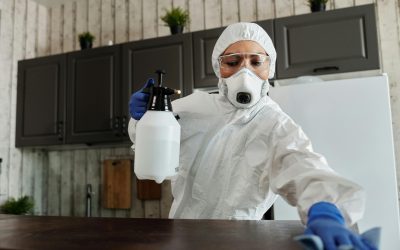 Disinfection Services You Can Add To Cleaning Services