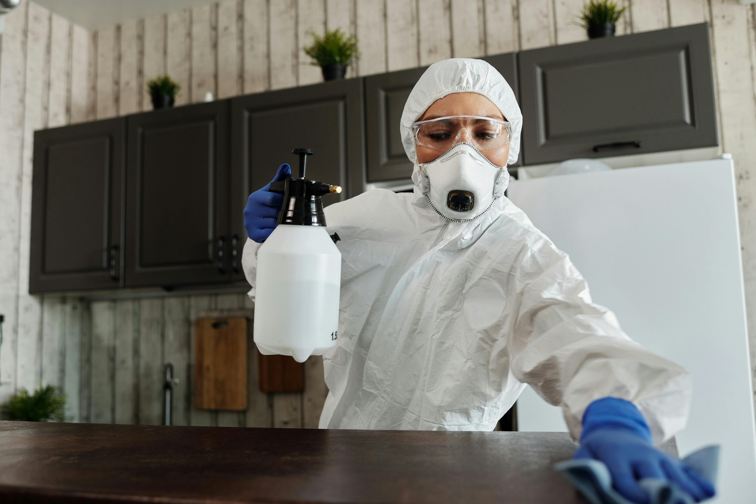 Disinfection Services You Can Add To Cleaning Services