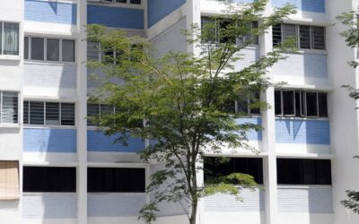 4 Top Problems with Stay-in Domestic Maids Faced by Singapore Employers