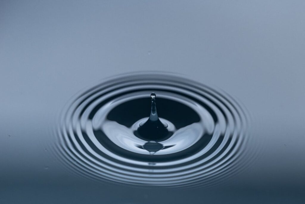 Magnet cleaners keep your fish aquarium water clean and fresh